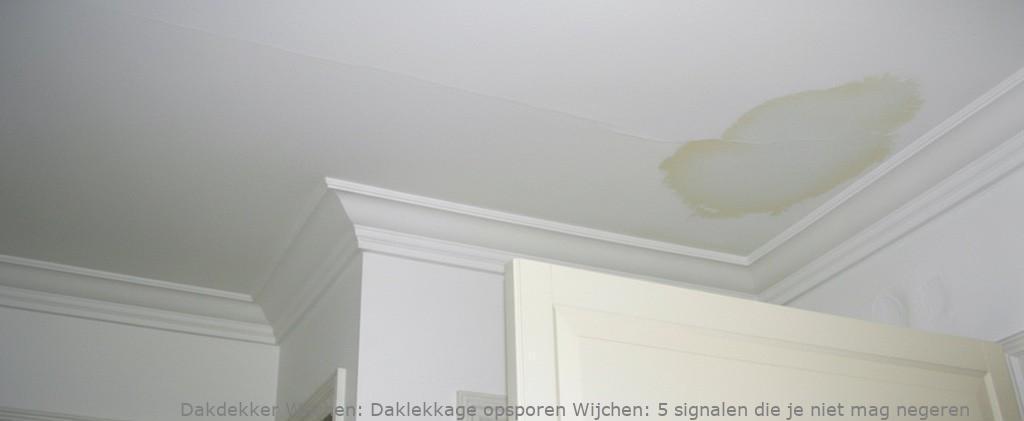 Daklekkage Opsporen Wijchen 1