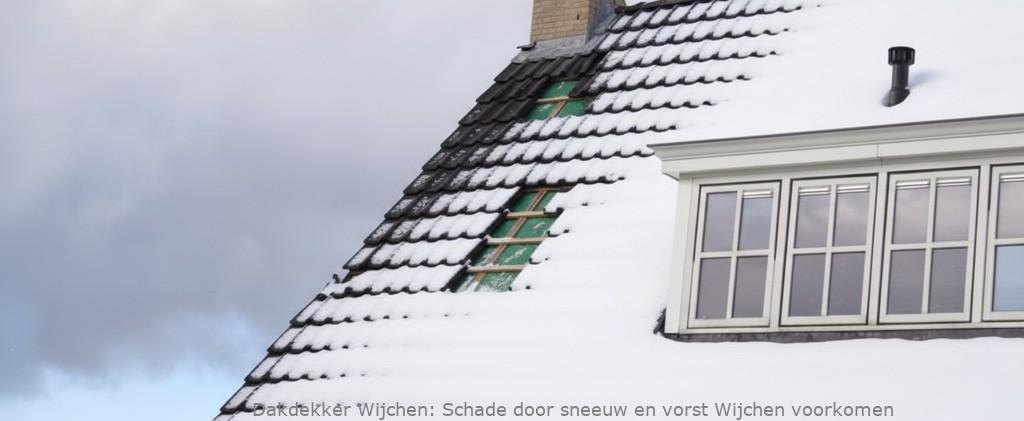 Schade Door Sneeuw En Vorst Wijchen