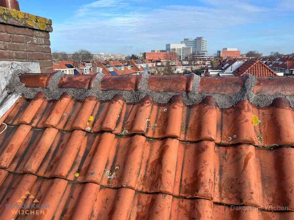 Wijchen Daken Renoveren